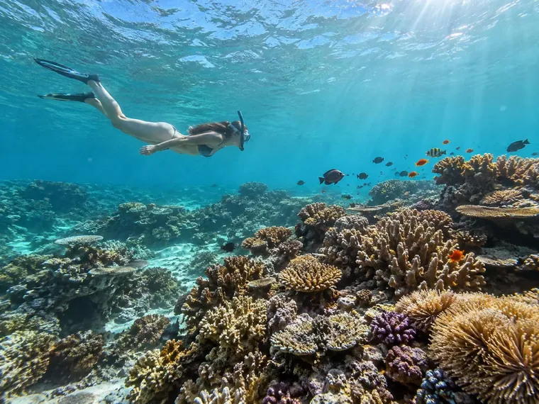 Diving and snorkelling, Nusa Lembongan