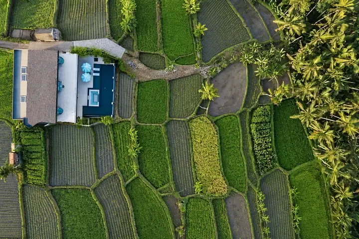 Designer Villa Among the Jungle